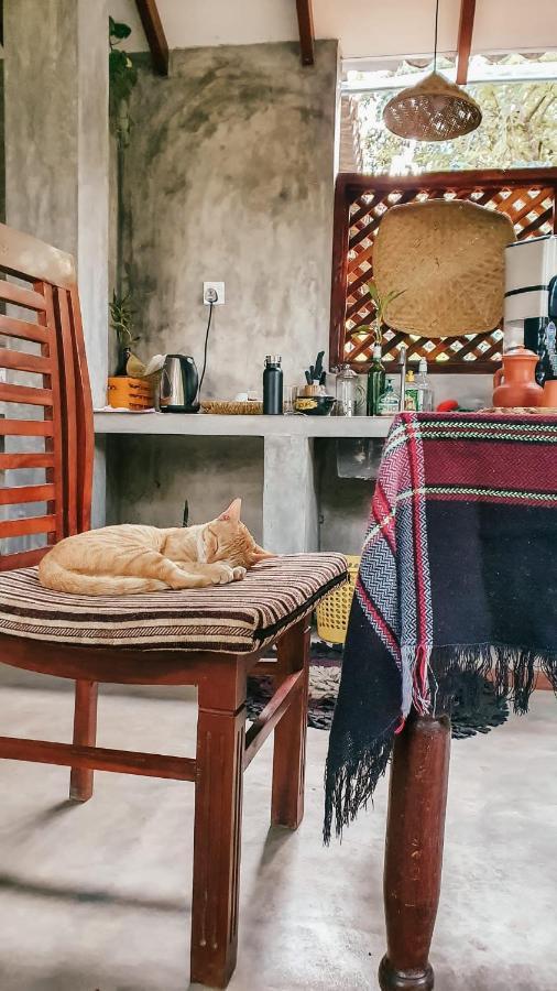 Sand Dollar House, Hiriketiya ディックウェラ エクステリア 写真